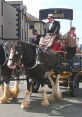 Horsedrawn Brewer’S Dray: On Gravel Horsedrawn Brewer’S Dray: On Gravel clips and effects, available to play and download.