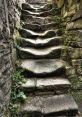 Footsteps Down Stone Stairs Footsteps Down Stone Stairs clips and effects, available to play and download.