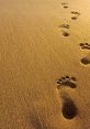 Footsteps On Country Road: Walking Footsteps On Country Road: Walking clips and effects, available to play and download.