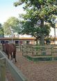 Horse On Gravel (Studio) Horse On Gravel (Studio) clips and effects, available to play and download.