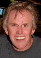 Gary Busey smiling, showcasing his unique expression, associated with his public persona and controversies around "Gary Busey's Stalker.