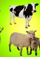 Holstein cow, sheep duo, and deer on vibrant green background. Explore these farm animals and learn their roles in agriculture.