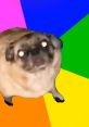 Vibin' pug with glowing eyes, set against a vibrant rainbow background, exuding playful energy and charm.