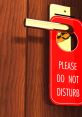 Do Not Disturb Do not disturb