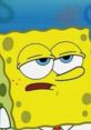 SpongeBob SquarePants with a skeptical expression, showcasing his iconic animated charm and comedic personality.