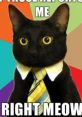 Black cat in a tie with a quirky expression, humorously captioned "If those reports hit me, right meow." A classic meme.