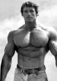 Arnold Schwarzenegger showcasing impressive physique and muscular build, exemplifying classic bodybuilding strength and aesthetics.