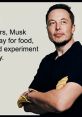 Elon Musk playfully discusses unique payment ideas while experimenting with innovative concepts for fun.