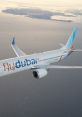 Flydubai Boeing 737 MAX soaring above the ocean with a scenic view of islands in the background and a clear sky.