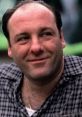 Tony Soprano smiling in a casual plaid shirt, reflecting his complex character in the iconic mob drama series.