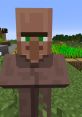 Brown-clothed Minecraft villager with green eyes, standing in a vibrant farm setting, surrounded by crops and greenery.