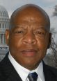 John Lewis John Robert Lewis (February 21, 1940 – July 17, 2020) was an American statesman and civil rights activist. He