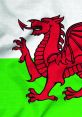 Welsh flag featuring the iconic red dragon on a white and green background, symbolizing Welsh heritage and pride.