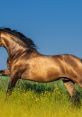 Majestic horse galloping through a vibrant meadow under a clear blue sky, showcasing its strength and grace.