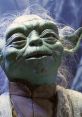 Yoda, the wise Jedi Master, with green skin, large ears, and a thoughtful expression, embodying sage wisdom in Star Wars.