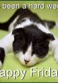 Black and white cat relaxing on a green surface, celebrating the end of the week with a cheerful "Happy Friday!