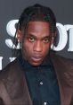 Travis Scott at a red carpet event, showcasing his unique fashion style with braided hair and a serious expression.