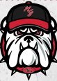 2022 North Gwinnett Bulldogs