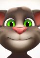 Close-up of Talking Tom, the beloved animated cat with vibrant green eyes and a friendly smile, perfect for fans of the series.