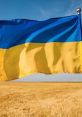 Waving Ukrainian flag against a clear sky, symbolizing national pride and resilience in a golden field.