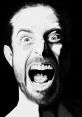 Random Scream! The first that pierces the silence is a jarring, unexpected outburst of "Random Scream!". It echoes