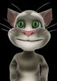 Old Talking Tom with big green eyes and a friendly smile, showcasing his playful and charming personality.