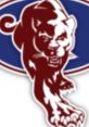 Panther Baseball 2022 Rev2 logo featuring a fierce panther design in maroon and blue colors.