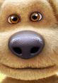 Close-up of a cute animated bear face with expressive eyes, perfect for sharing funny Memes Mp3 moments.