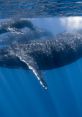 Humpback Whale Songs - Maui Hawaii Maui Hawaii is well known for it's surfing, sun and wonderful vacation atmosphere. But