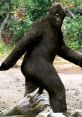 Bigfoot walking through lush greenery, showcasing its iconic ape-like figure and mysterious presence in the wilderness.