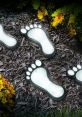 Footsteps - Outdoor Footsteps - Outdoor clips and effects to play and download.