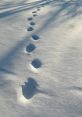 Footsteps In Snow Footsteps in snow clips and effects to play and download.