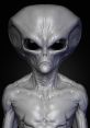 Realistic depiction of a grey alien character with large black eyes and textured skin, highlighting extraterrestrial features.