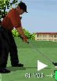  Effects - Tiger Woods PGA Tour 08 - Miscellaneous (DS - DSi) Effects - Tiger Woods PGA Tour 08 - Miscellaneous (DS - DSi)