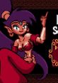  Effects - Shantae - Miscellaneous (Game Boy - GBC) Effects - Shantae - Miscellaneous (Game Boy - GBC)