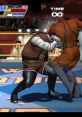 Intense wrestling action in Dik Dik Van Dik - Ultimate Muscle. Characters clash in a vibrant GameCube ring environment.