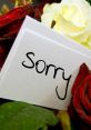 Sorry And Apology Sorry And Apology to play and download.