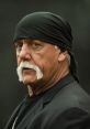 Hulk Hogan Soundboard