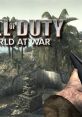 Pistols - Call of Duty: World at War - Weapons (PC - Computer)