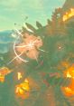 Boss - The Legend of Zelda: Breath of the Wild - Effects (Nintendo Switch) Effect from the Nintendo Switch game The