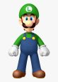 Luigi, a key playable character in New Super Mario Bros. Wii, features green hat and overalls, ready for adventure.