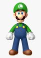 Luigi - New Super Mario Bros. Wii - Playable Characters (Wii)