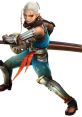 Impa - Hyrule Warriors - Character Voices (Wii U) Hyrule Warriors Legends is a hack and slash video game developed by Omega