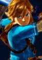 Link - Hyrule Warriors: Age of Calamity - Playable Character Voices (Nintendo Switch) Playable Character Voice from the