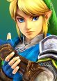 Link from Hyrule Warriors showcasing his iconic look with blue eyes and hero's attire, preparing for battle on Wii U.