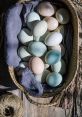 Basket filled with various colorful eggs, showcasing unique shades and textures, perfect for a random 蛋 theme.