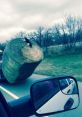 A cat perched atop a large hay bale being transported on a truck, showcasing rural life and unexpected animal antics.