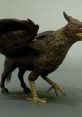 Hippogriff The hippogriff, or sometimes spelled hippogryph, is a legendary creature with the front half of an eagle and