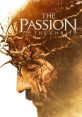 The Passion Of Christ Mel Gibson co-wrote, co-produced, and directed this movie. It shows Jesus Christ's last twelve hours.