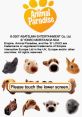 Animal Paradise Hana Deka Club: Animal Paradise
Pocket Pets
はなデカ倶楽部 アニマルパラダイス - Video Game Music
